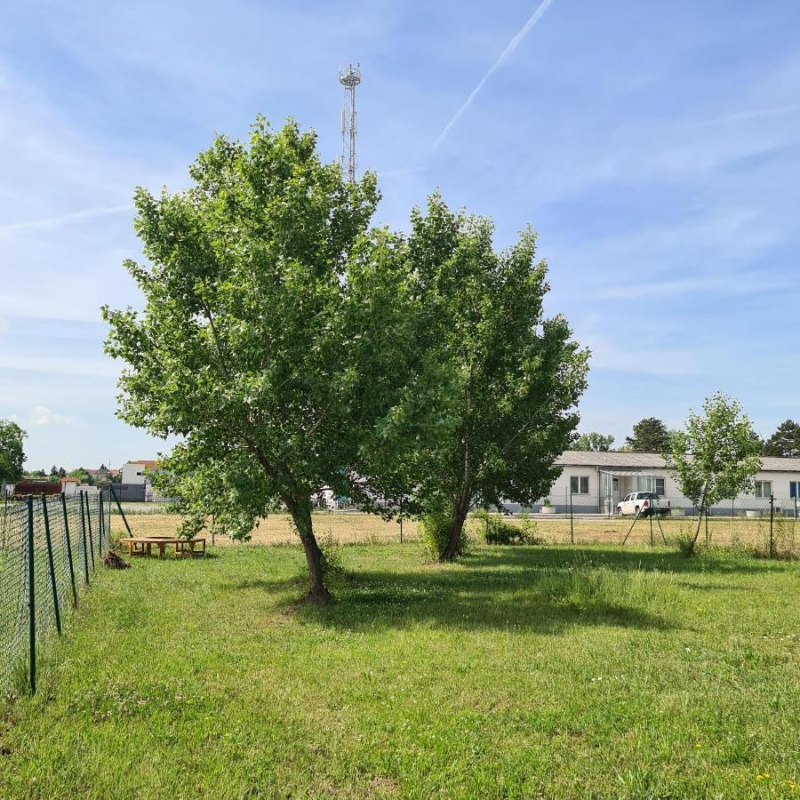 Вилла Tiny House Neusiedl an der Zaya Экстерьер фото